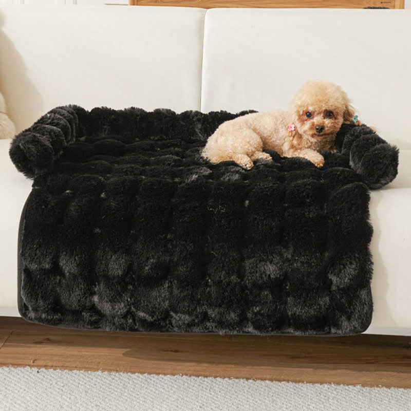 Ownkoti Solid Plush Pet Sofa Bed - image 17
