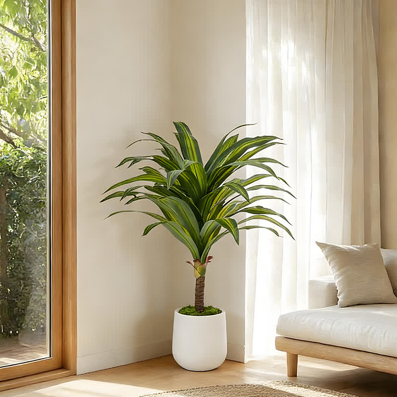 Ownkoti Artificial Dracaena Tree in White Pot for Indoor Outdoor