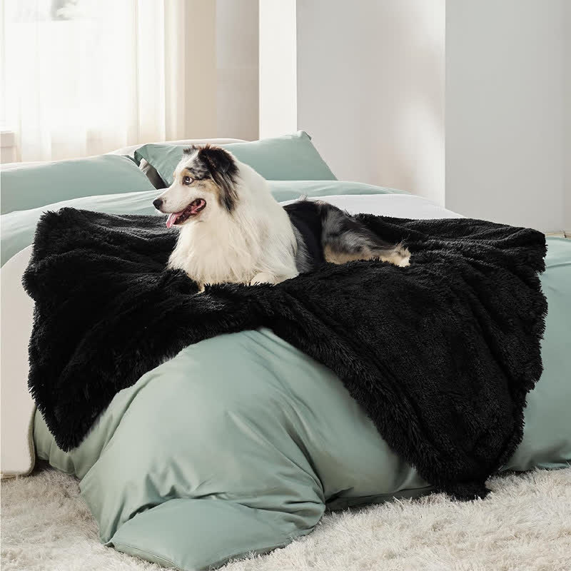 Sherpa Waterproof Soft Blanket Pet Pad - Black - XL: 63" x 85" - image 12