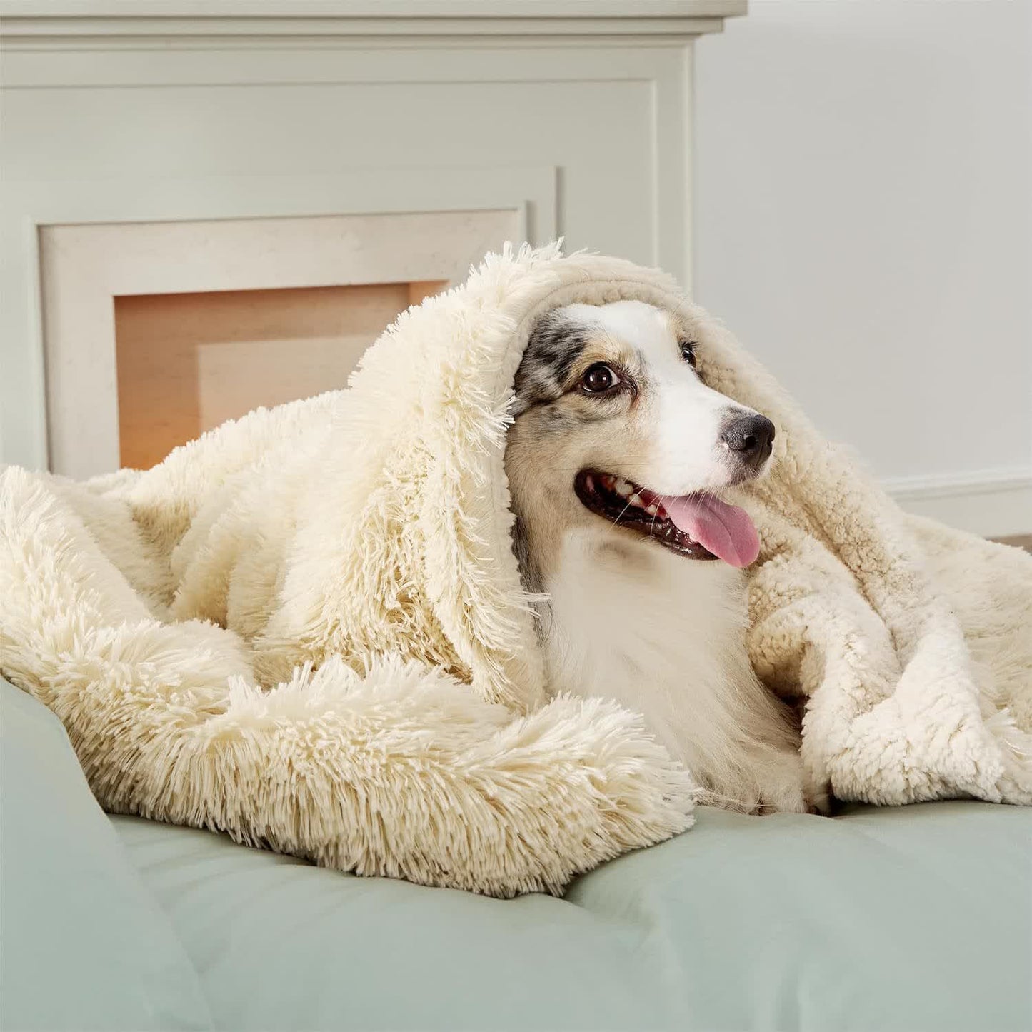 Sherpa Waterproof Soft Blanket Pet Pad - Cream - XL: 63" x 85" - image 10