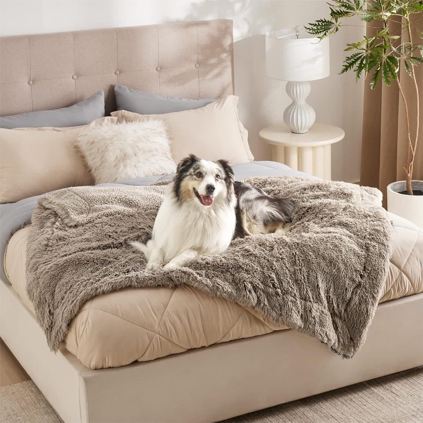 Sherpa Waterproof Soft Blanket Pet Pad - Light Brown - XL: 63" x 85" - image 4