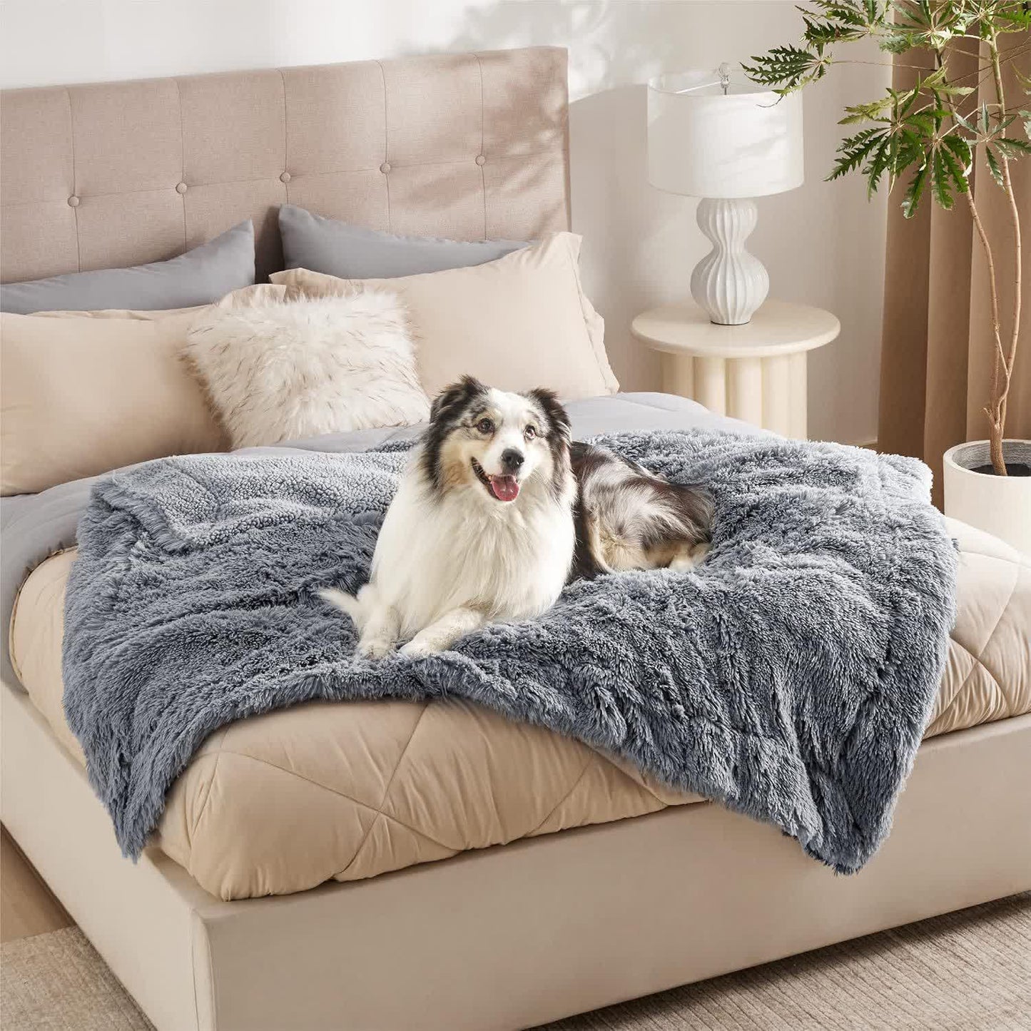 Sherpa Waterproof Soft Blanket Pet Pad - Gray - XL: 63" x 85" - image 0