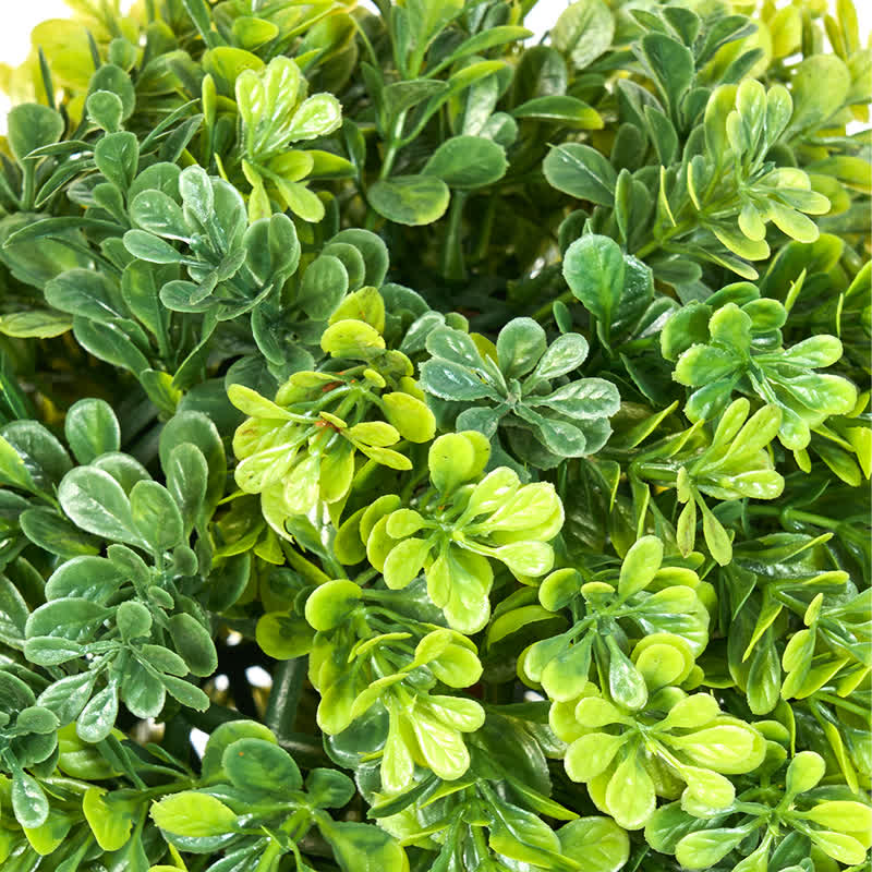 Ownkoti Artificial Boxwood Topiary Ball in Pot - image 11