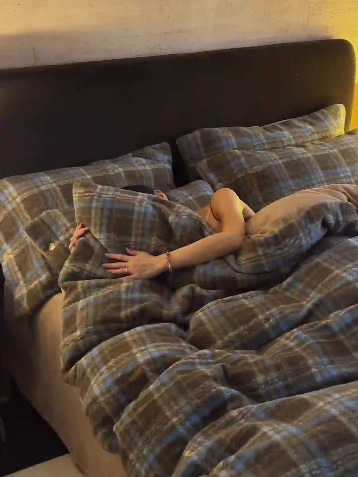 Ownkoti Classic Plaid Cozy Thick Bedding Set (4PCS)  - image 42