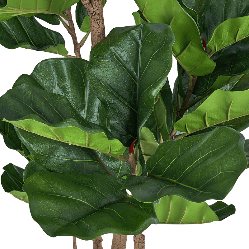 Ownkoti Lifelike Fiddle Leaf Fig Tree Indoor Decor - image 6