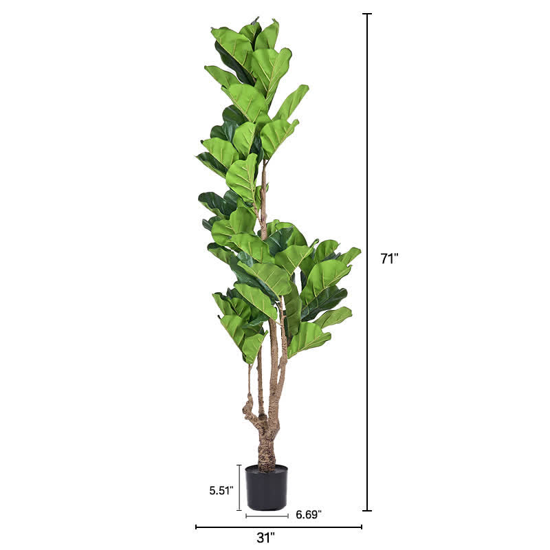 Ownkoti Lifelike Fiddle Leaf Fig Tree Indoor Decor - 71"H - image 11