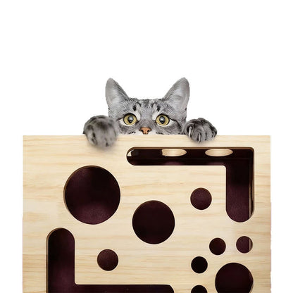 Ownkoti Cat Scratch Puzzle Enrichment Box - image 5
