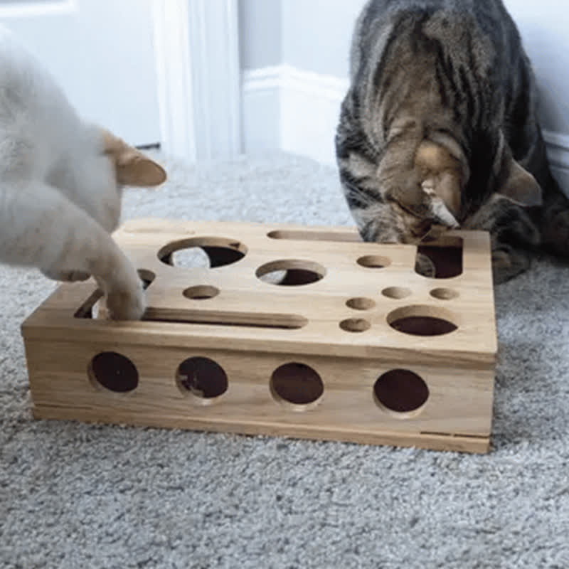 Ownkoti Cat Scratch Puzzle Enrichment Box - image 1