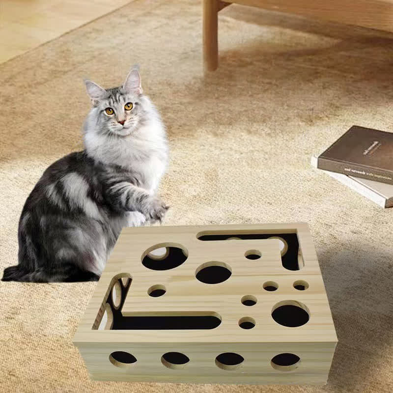 Ownkoti Cat Scratch Puzzle Enrichment Box - image 3