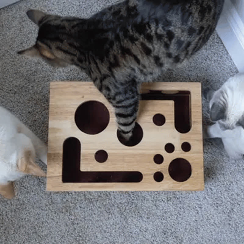 Ownkoti Cat Scratch Puzzle Enrichment Box - image 2