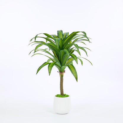 Ownkoti Artificial Dracaena Tree in White Pot for Indoor Outdoor - image 4