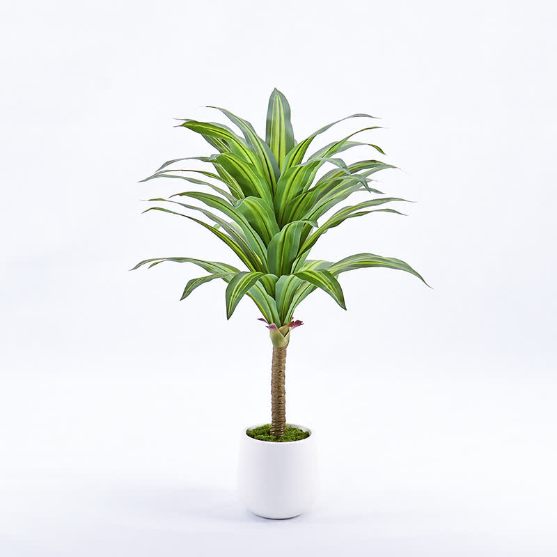 faux dracaena tree Ownkoti Artificial Dracaena Tree in White Pot for Indoor Outdoor – ownkoti