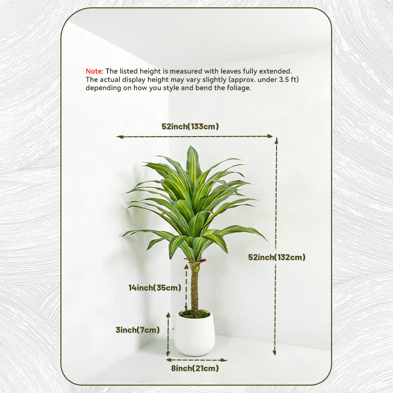 Ownkoti Artificial Dracaena Tree in White Pot for Indoor Outdoor - 2PCS - 52"H - image 15