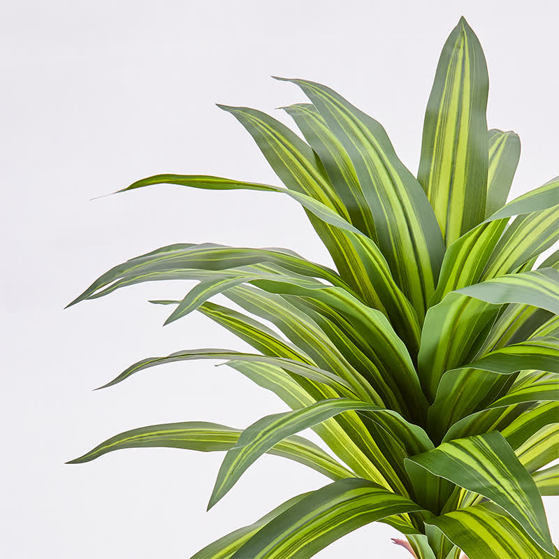 outdoor artificial dracaena tree Ownkoti Artificial Dracaena Tree in White Pot for Indoor Outdoor