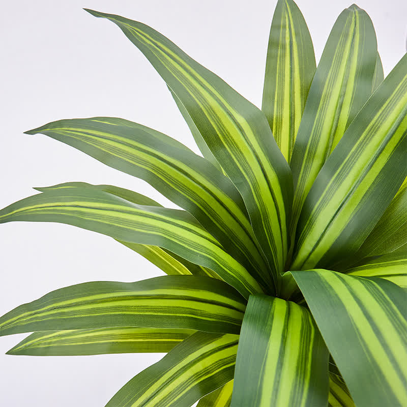 Ownkoti Artificial Dracaena Tree in White Pot for Indoor Outdoor - image 6