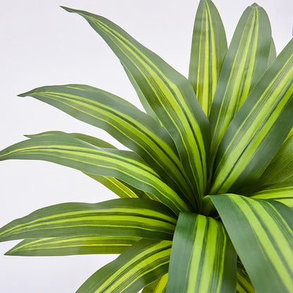 Ownkoti Artificial Dracaena Tree in White Pot for Indoor Outdoor - image 6