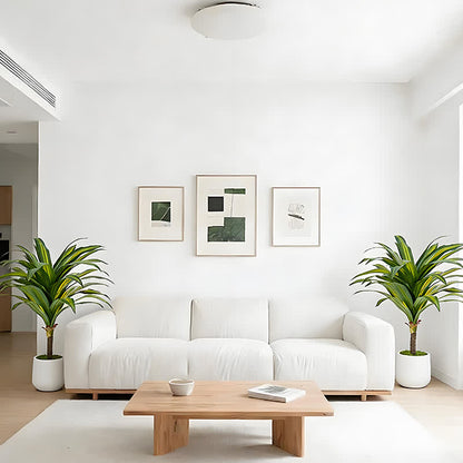 Ownkoti Artificial Dracaena Tree in White Pot for Indoor Outdoor - image 2