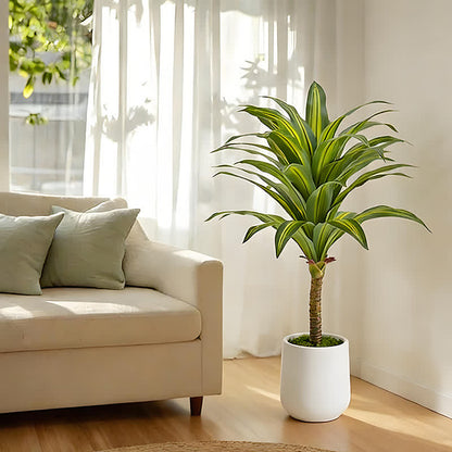 Ownkoti Artificial Dracaena Tree in White Pot for Indoor Outdoor - image 11