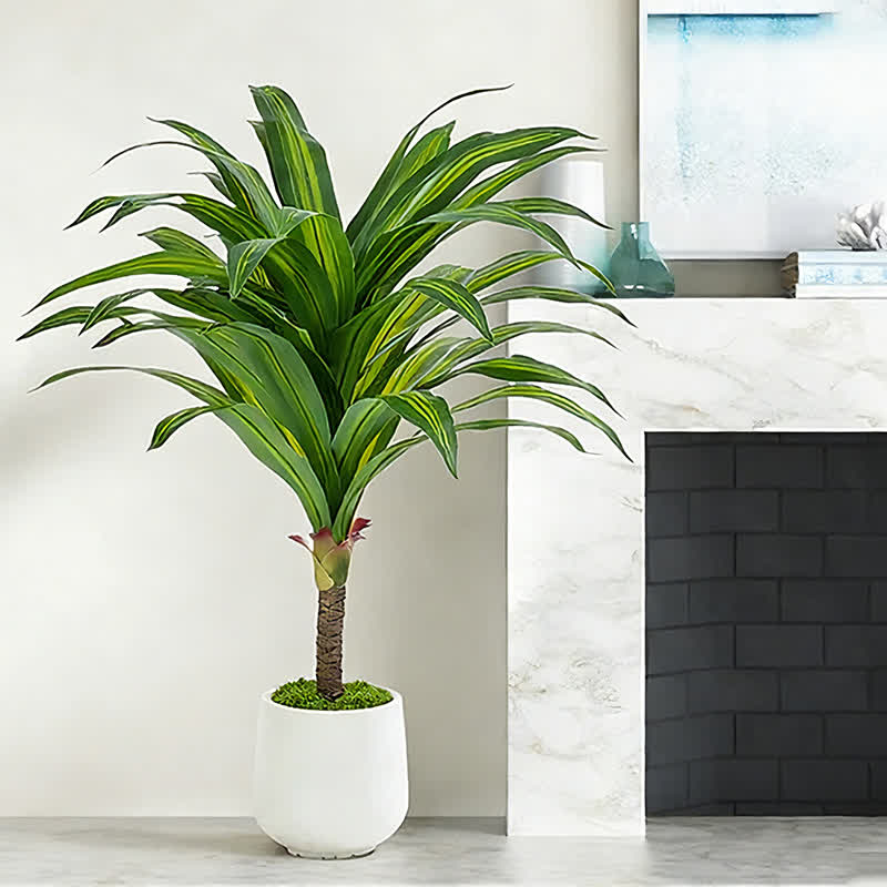 Ownkoti Artificial Dracaena Tree in White Pot for Indoor Outdoor - image 1