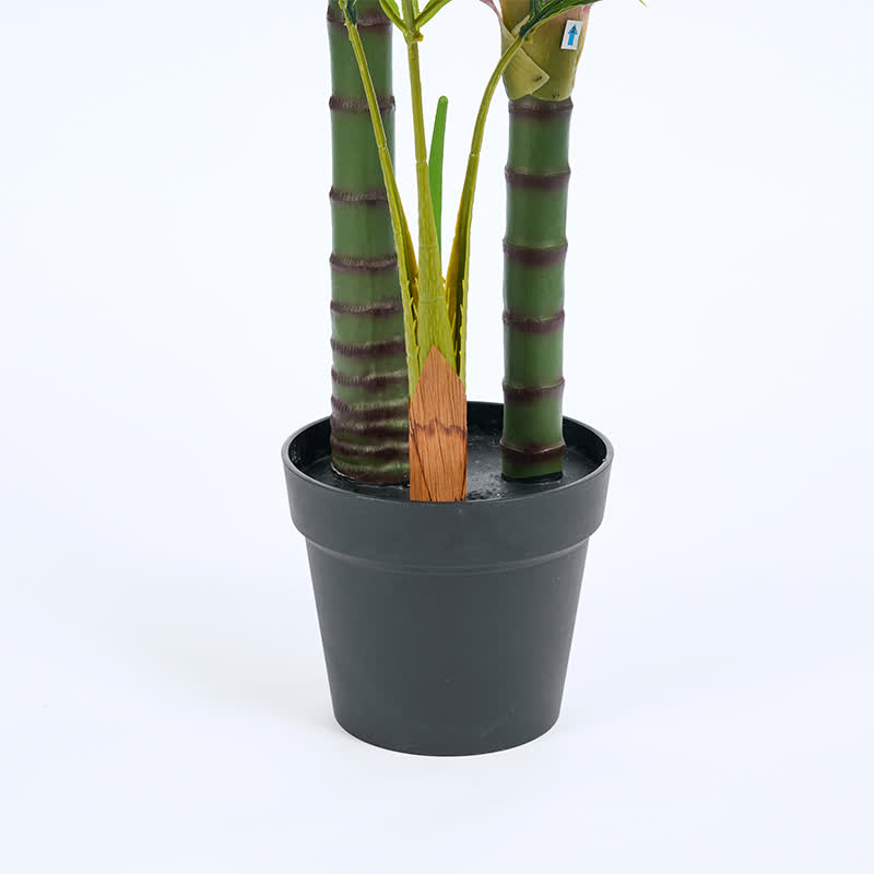 Ownkoti Realistic Faux Palm Tree for Indoor Outdoor Decor - image 15