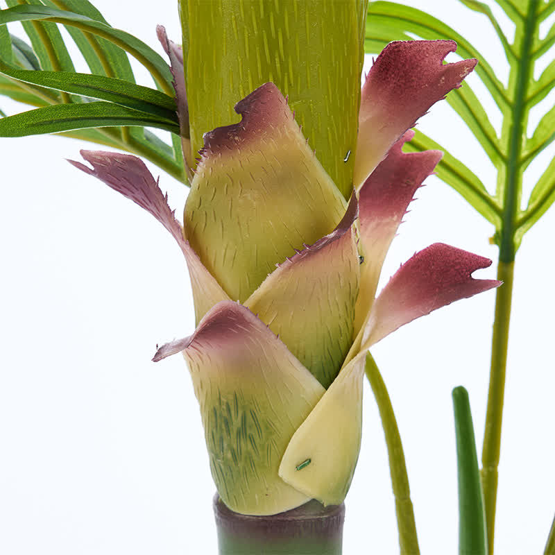 Ownkoti Realistic Faux Palm Tree for Indoor Outdoor Decor - image 13