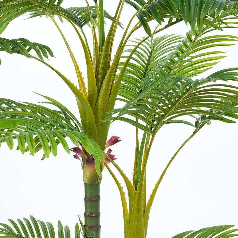 Ownkoti Realistic Faux Palm Tree for Indoor Outdoor Decor - image 10