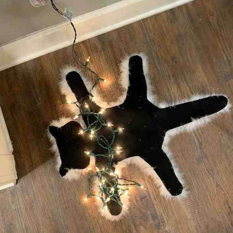 Ownkoti Aunt Bethany's Fried Cat Decorative Fur Trimmed Rug - With White Light - 3PCS - image 0