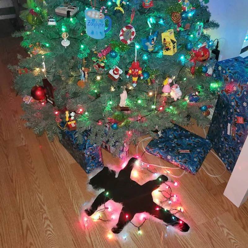 Ownkoti Aunt Bethany's Fried Cat Decorative Fur Trimmed Rug - image 6