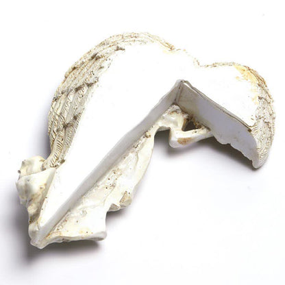 Ownkoti Door Frame Angel Wings Sculpture - image 13