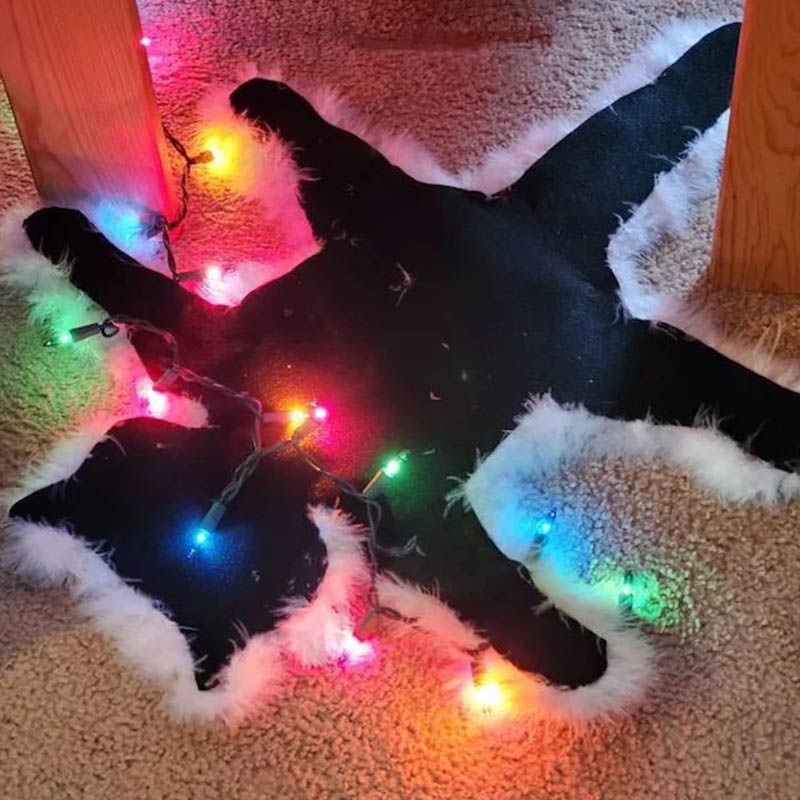 Ownkoti Aunt Bethany's Fried Cat Decorative Fur Trimmed Rug - image 8