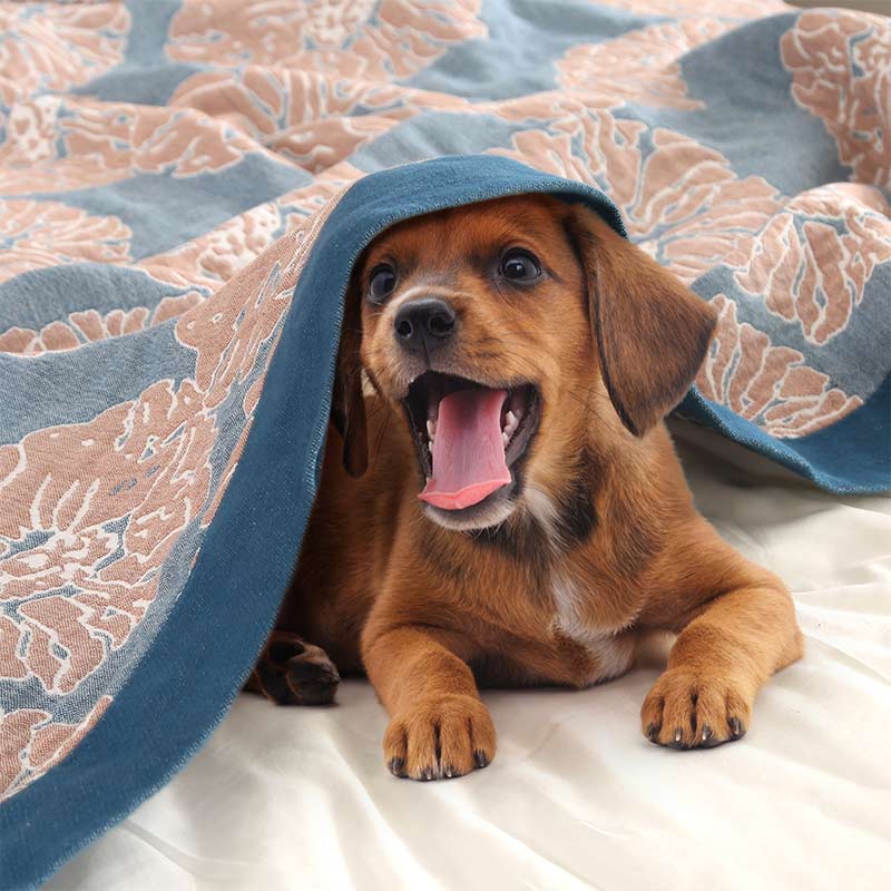 Ownkoti Lightweight Peony Cotton  Reversible Blanket - image 3