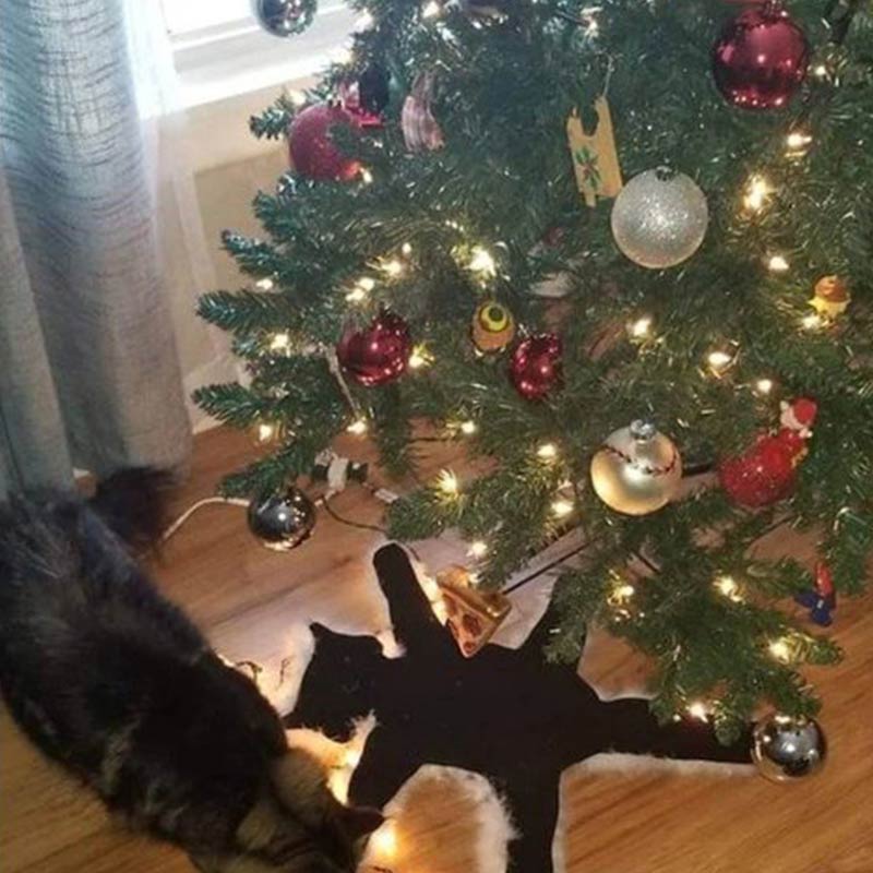 Ownkoti Aunt Bethany's Fried Cat Decorative Fur Trimmed Rug - image 4