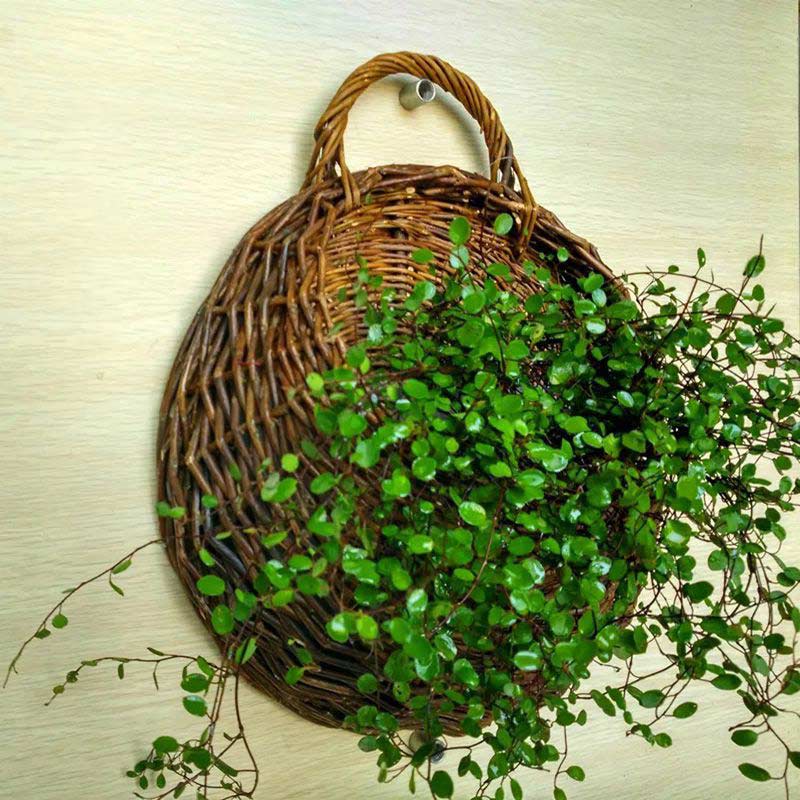 Ownkoti Handwoven Plant Basket with Handle (3PCS) - image 3